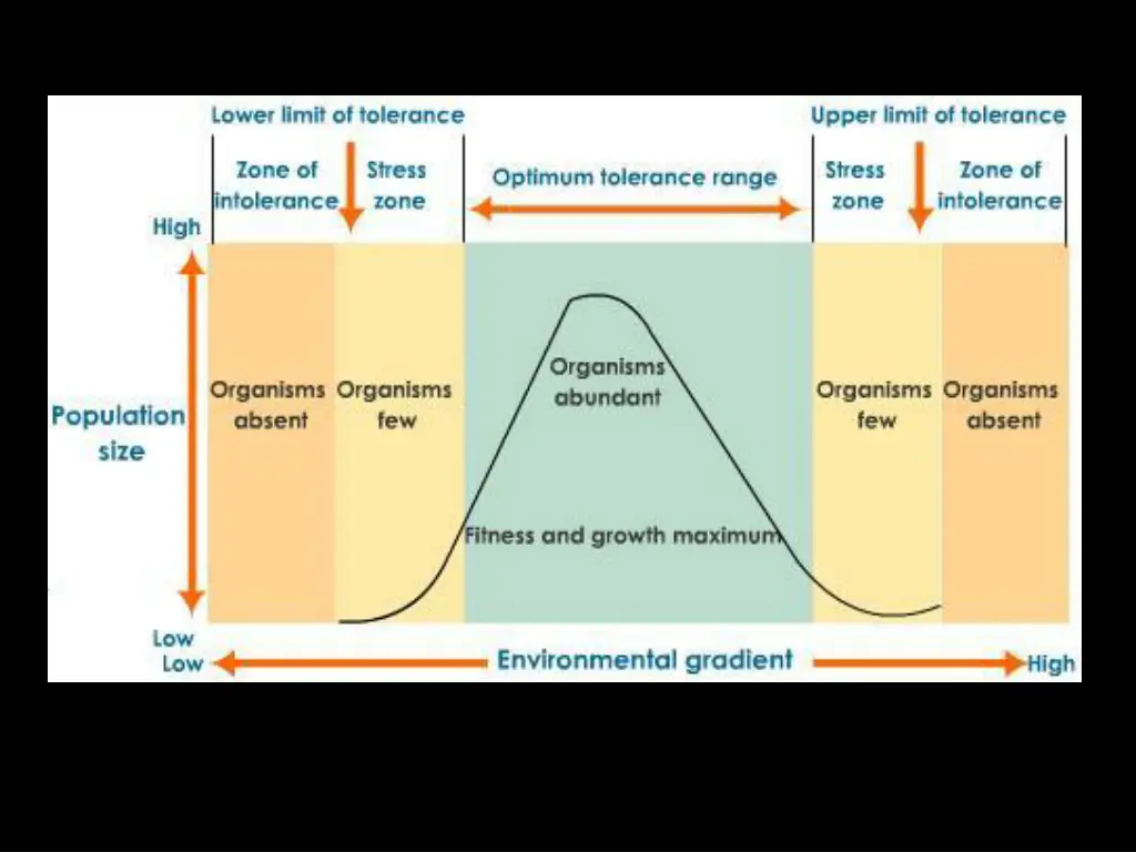 slide21