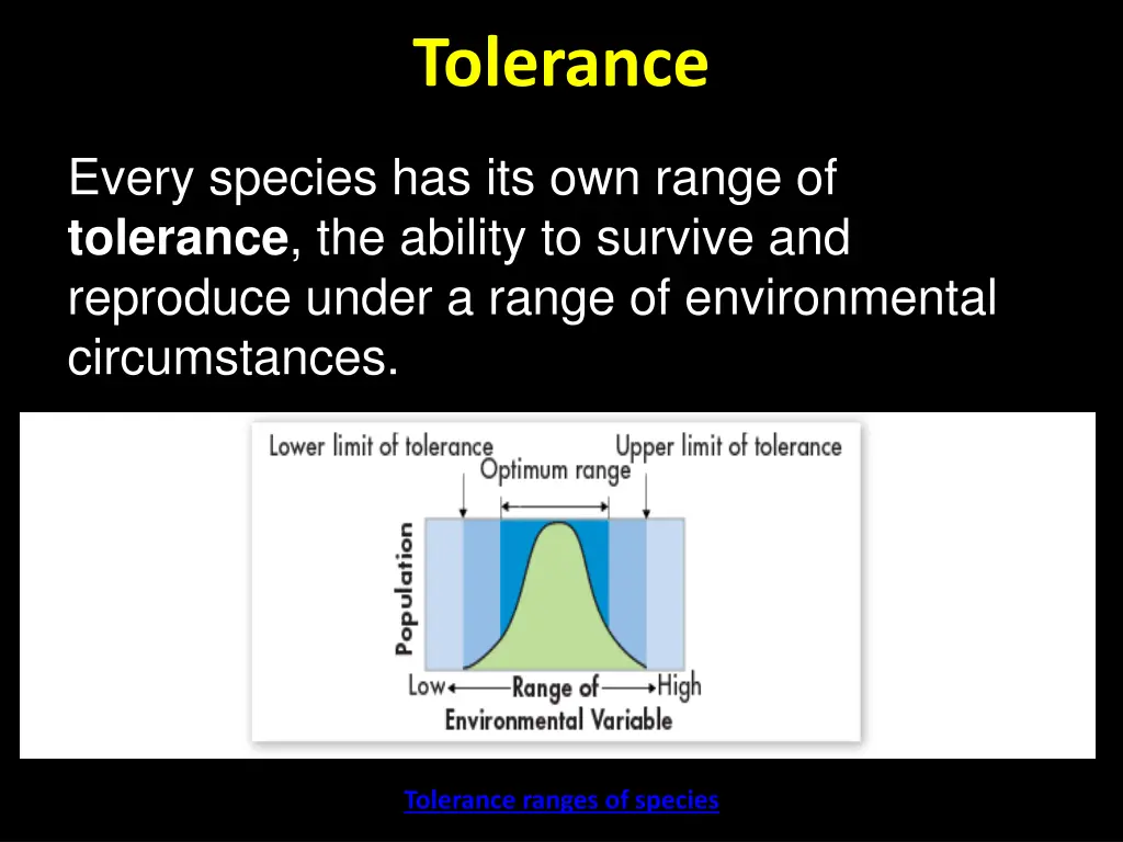 tolerance