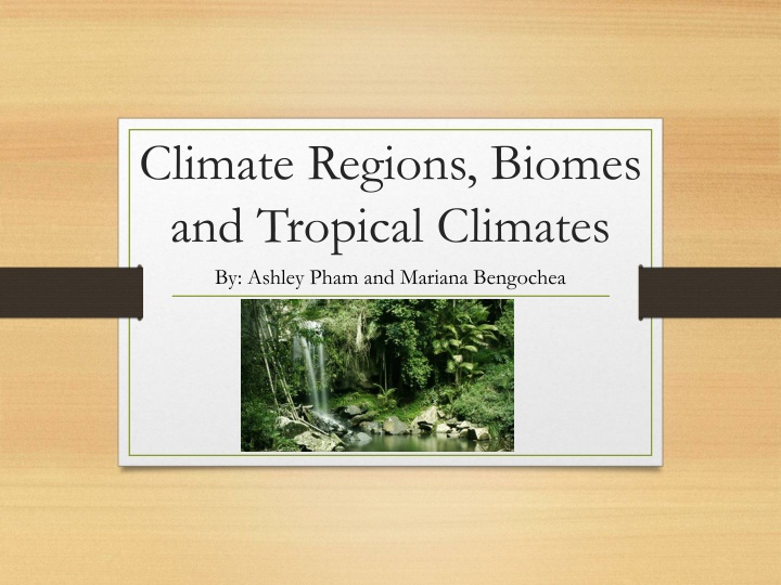 climate regions biomes and tropical climates