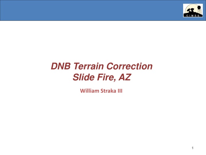 dnb terrain correction slide fire az