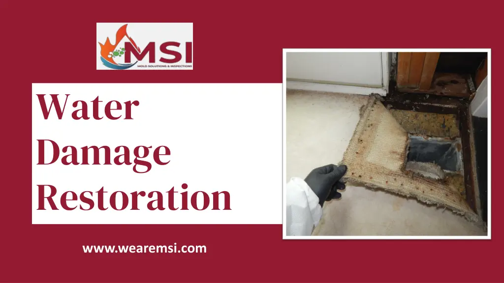 water damage restoration