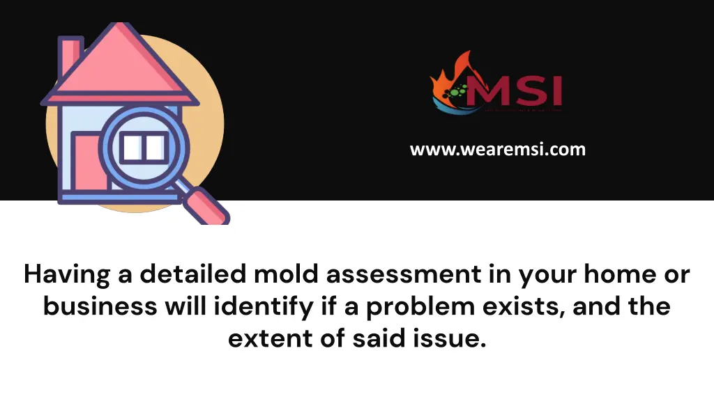 www wearemsi com