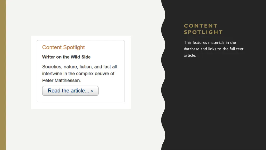 content spotlight