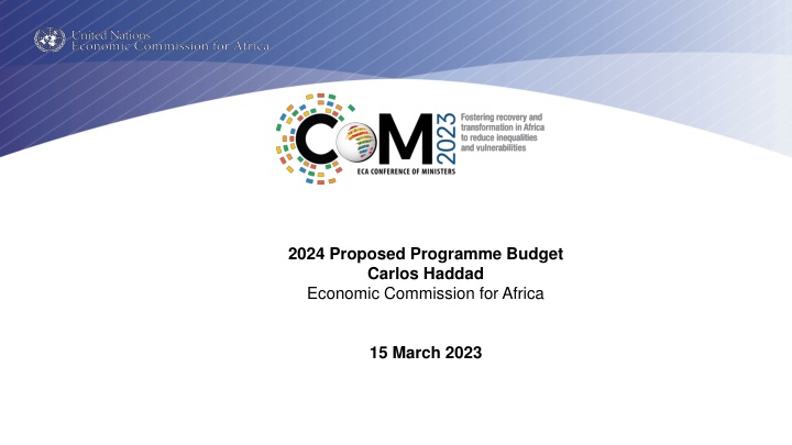 2024 proposed programme budget carlos haddad