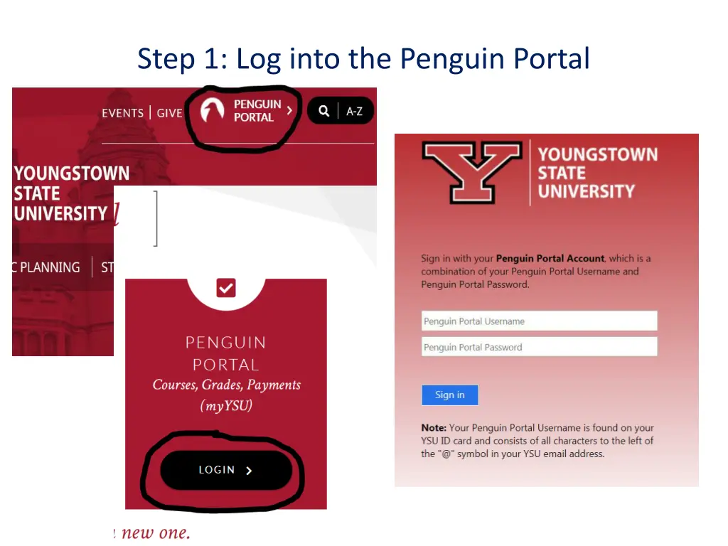 step 1 log into the penguin portal