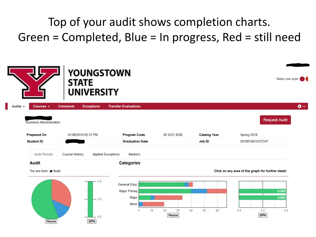 top of your audit shows completion charts green