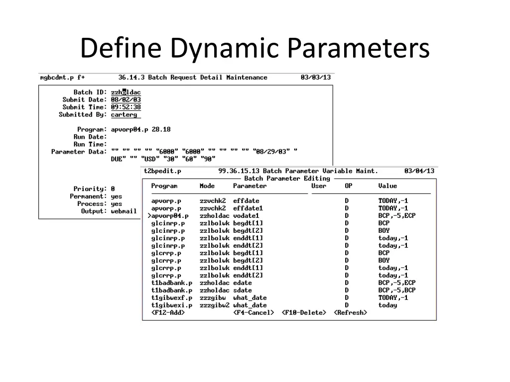 define dynamic parameters