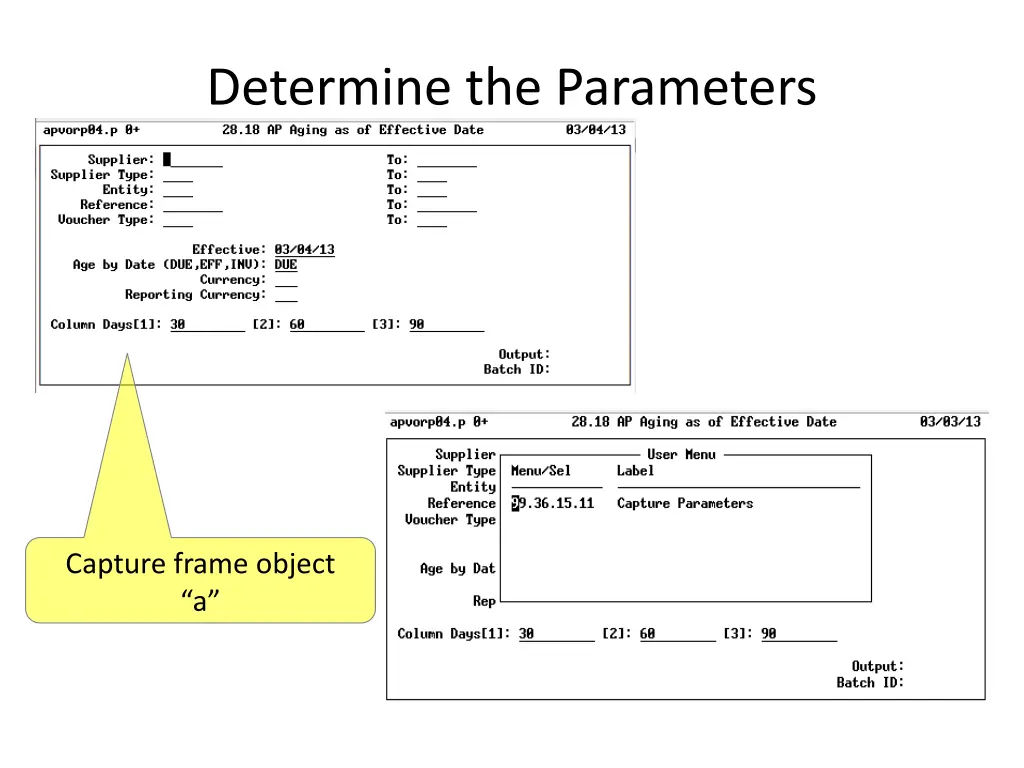 determine the parameters 1