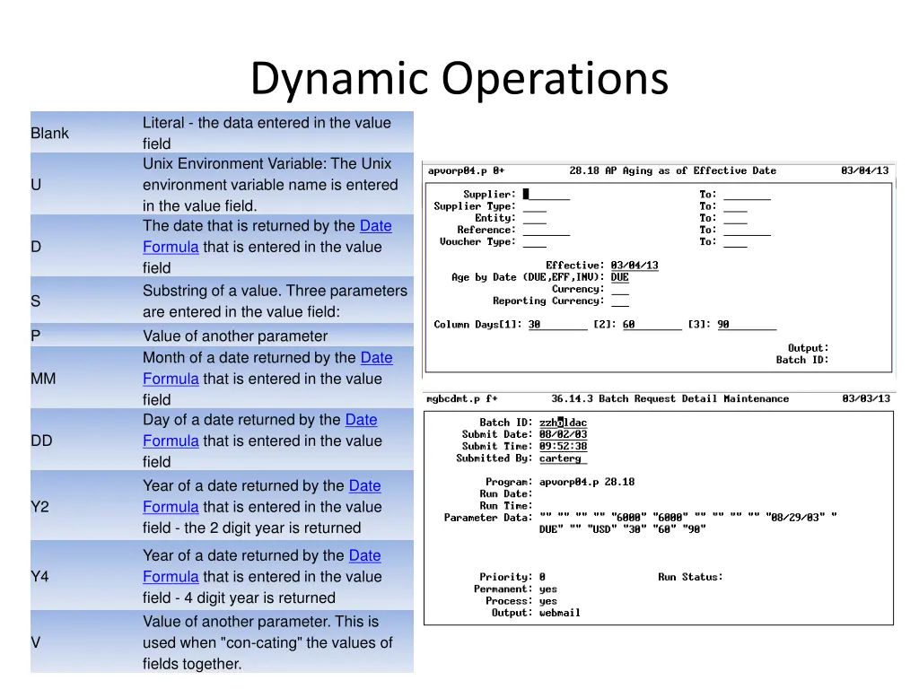 dynamic operations literal the data entered