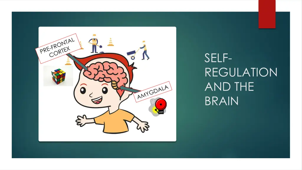 self regulation and the brain