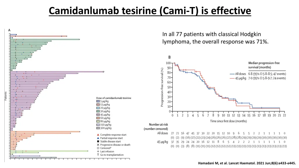 camidanlumab tesirine cami t is effective