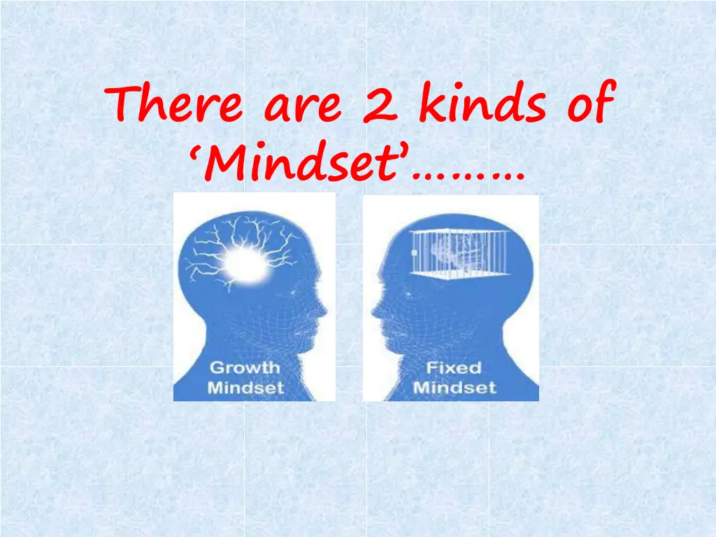 there are 2 kinds of mindset