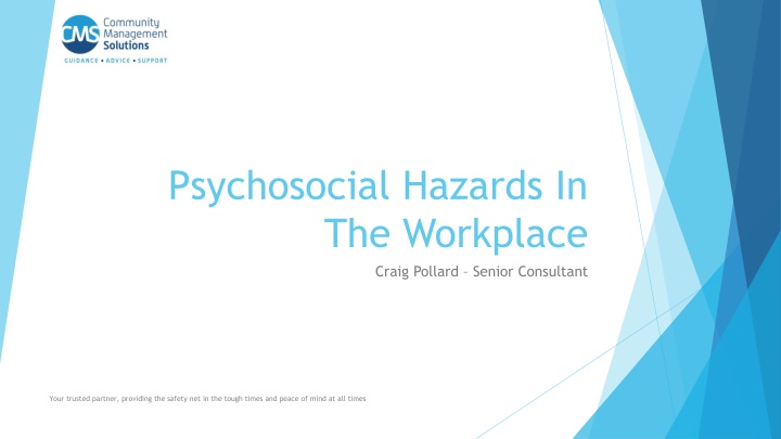 psychosocial hazards in the workplace craig