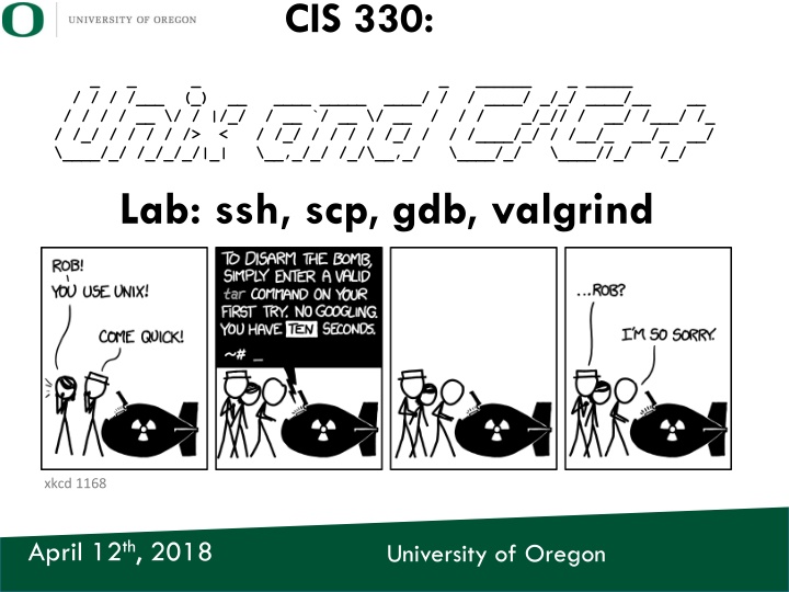 cis 330