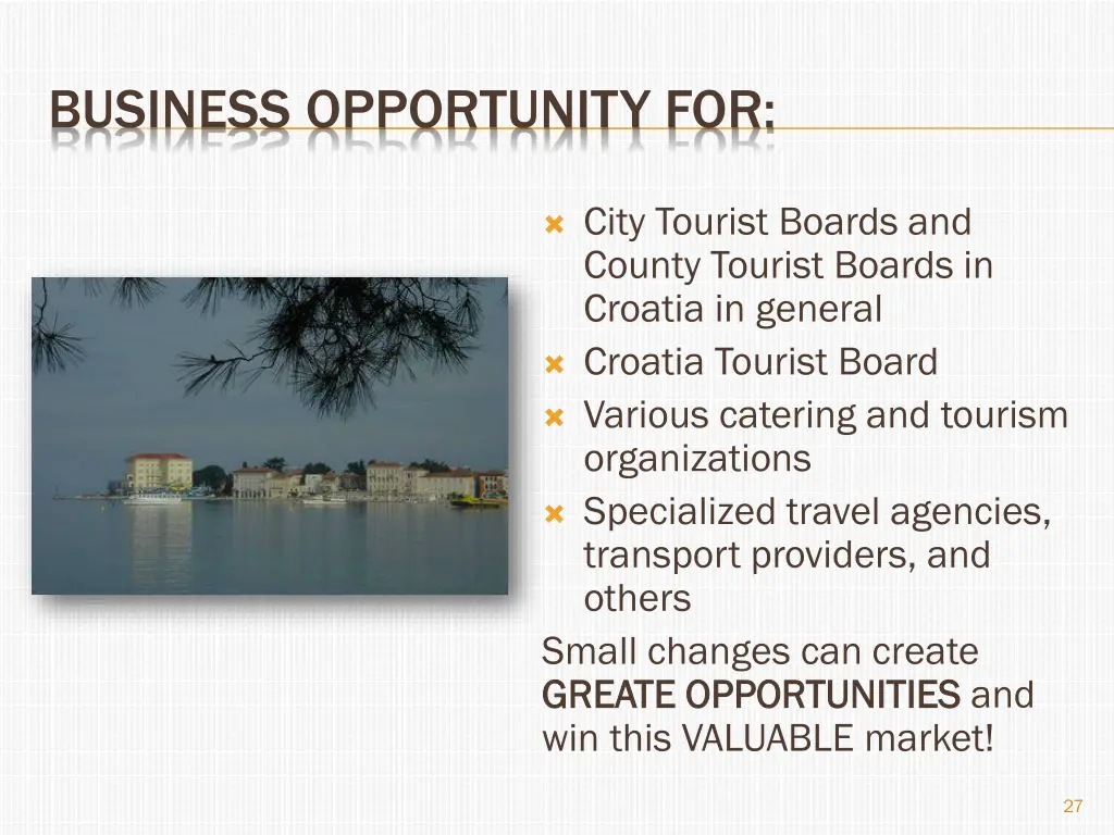 business opportunity for