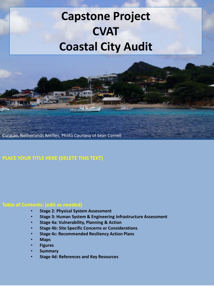 capstone project cvat coastal city audit