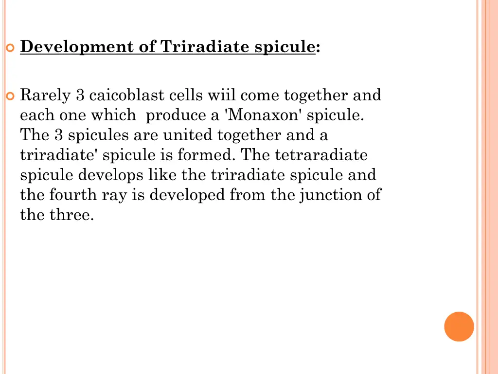 development of triradiate spicule