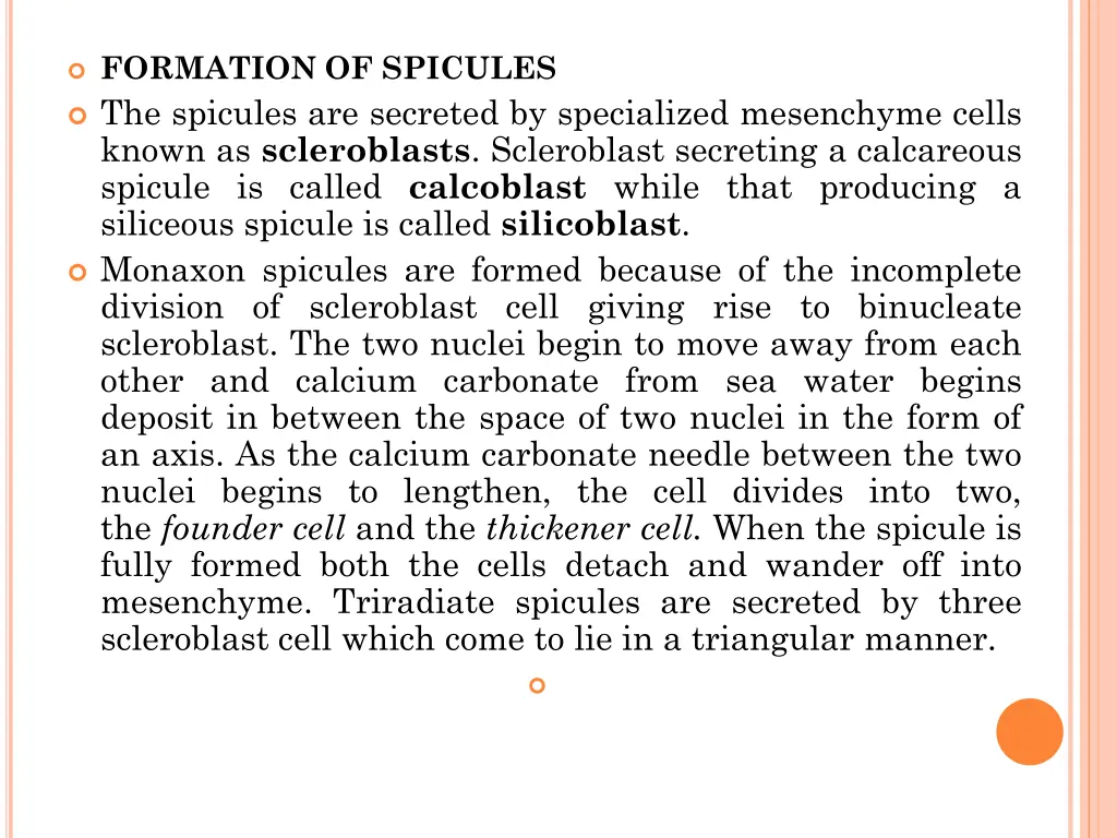 formation of spicules the spicules are secreted
