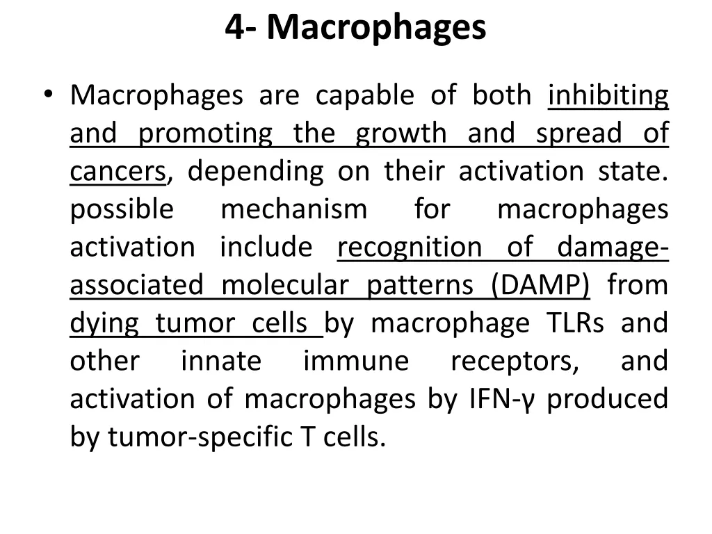4 macrophages