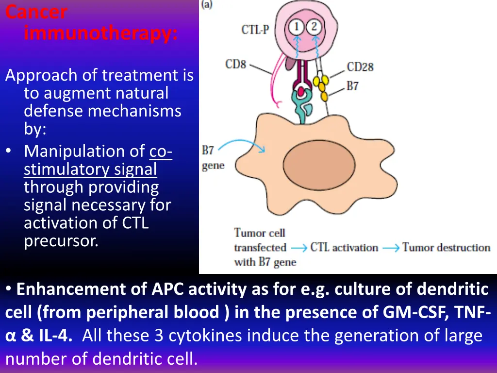 cancer immunotherapy approach of treatment