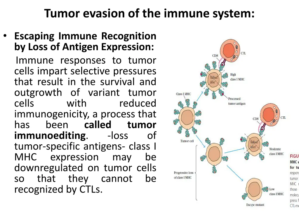tumor evasion of the immune system