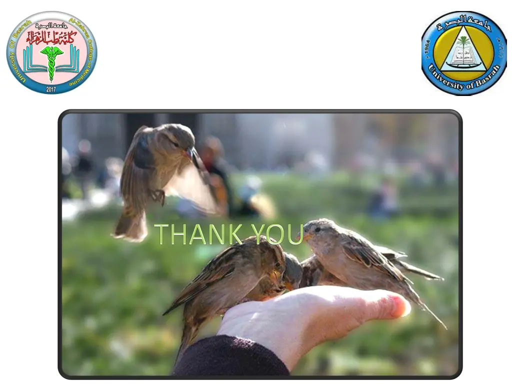 slide12