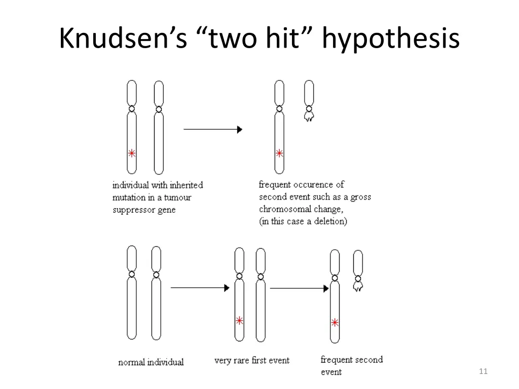 knudsen s two hit hypothesis