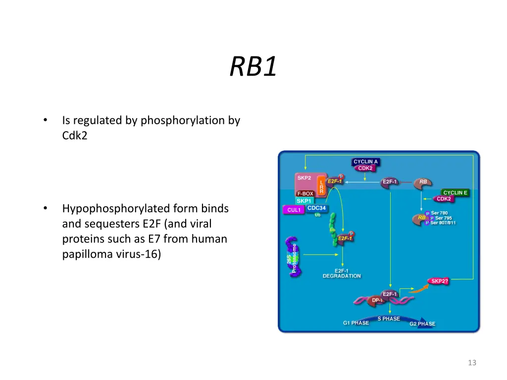 slide13
