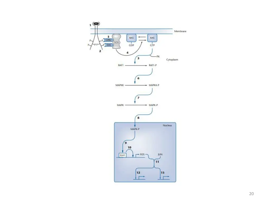 slide20