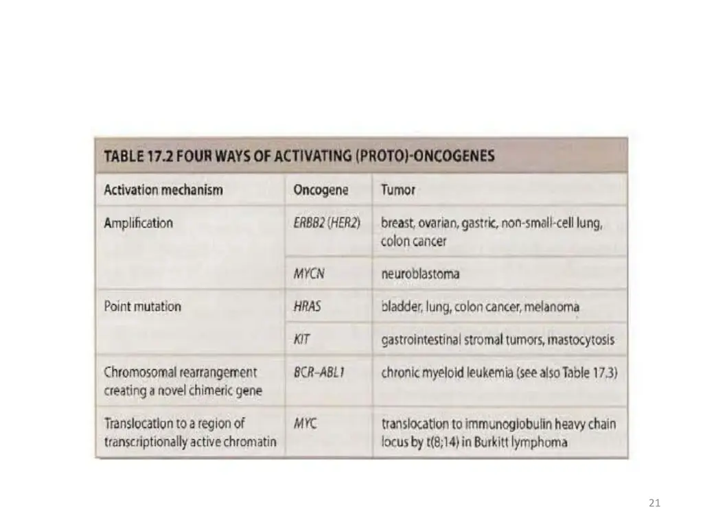 slide21
