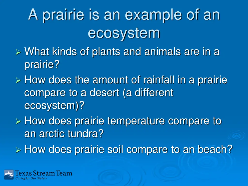 a prairie is an example of an ecosystem what