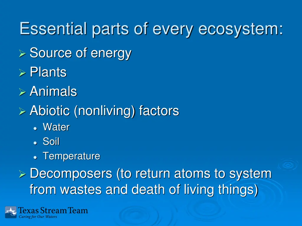 essential parts of every ecosystem