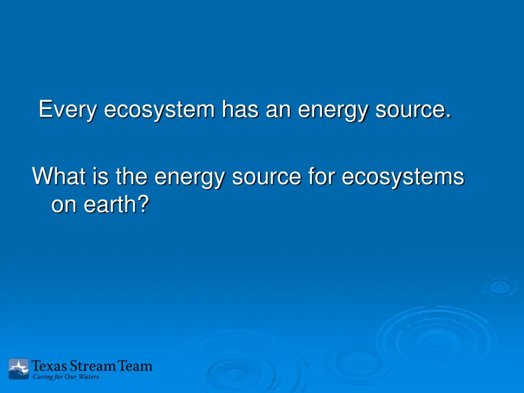 every ecosystem has an energy source