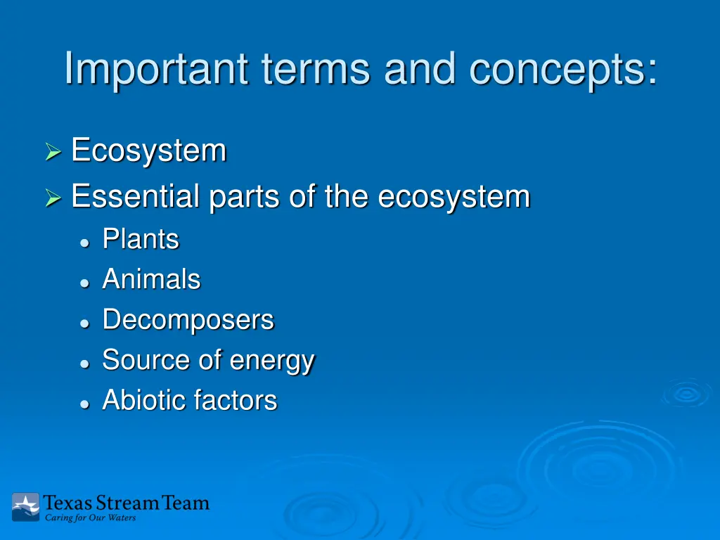 important terms and concepts