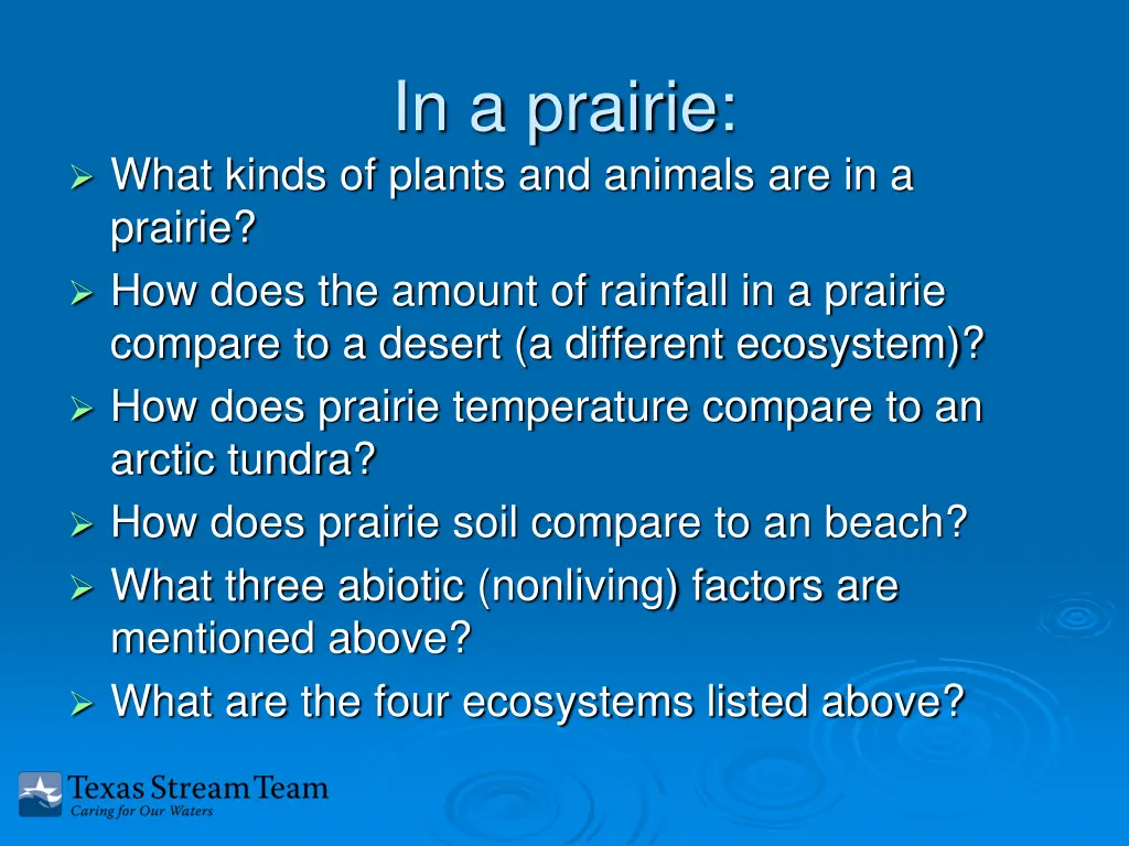 in a prairie