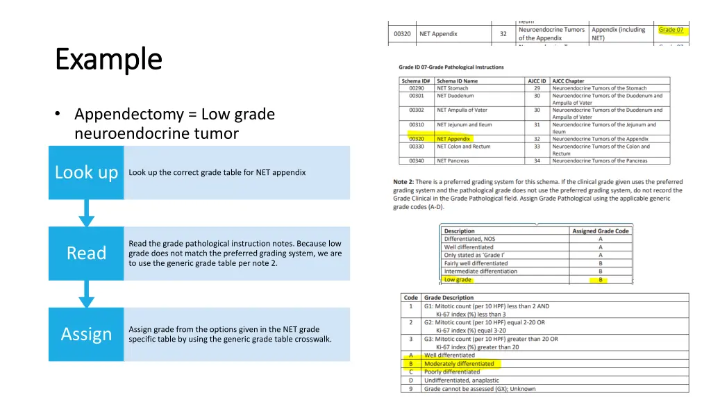 example example 4