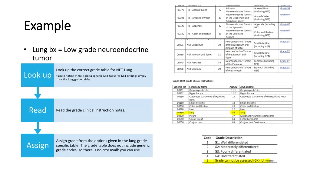 example example 5