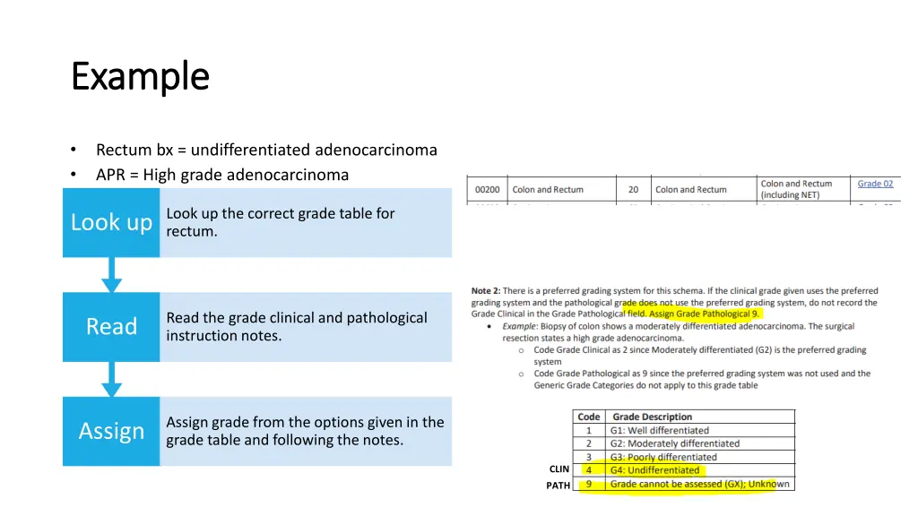 example example 7