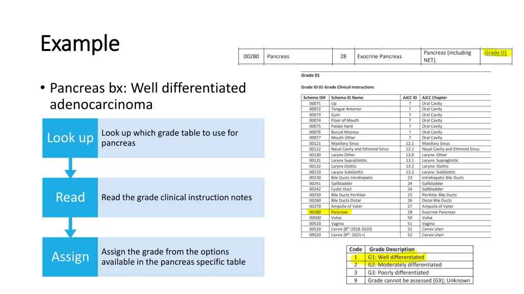 example example
