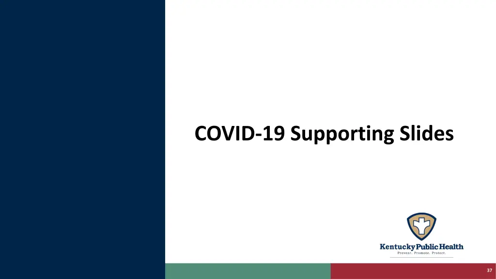 covid 19 supporting slides