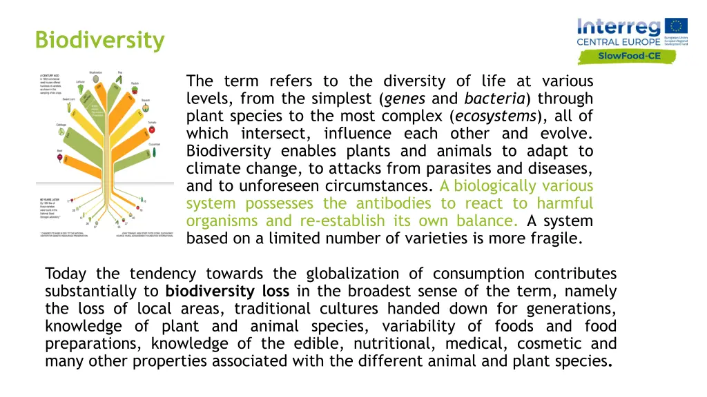 biodiversity