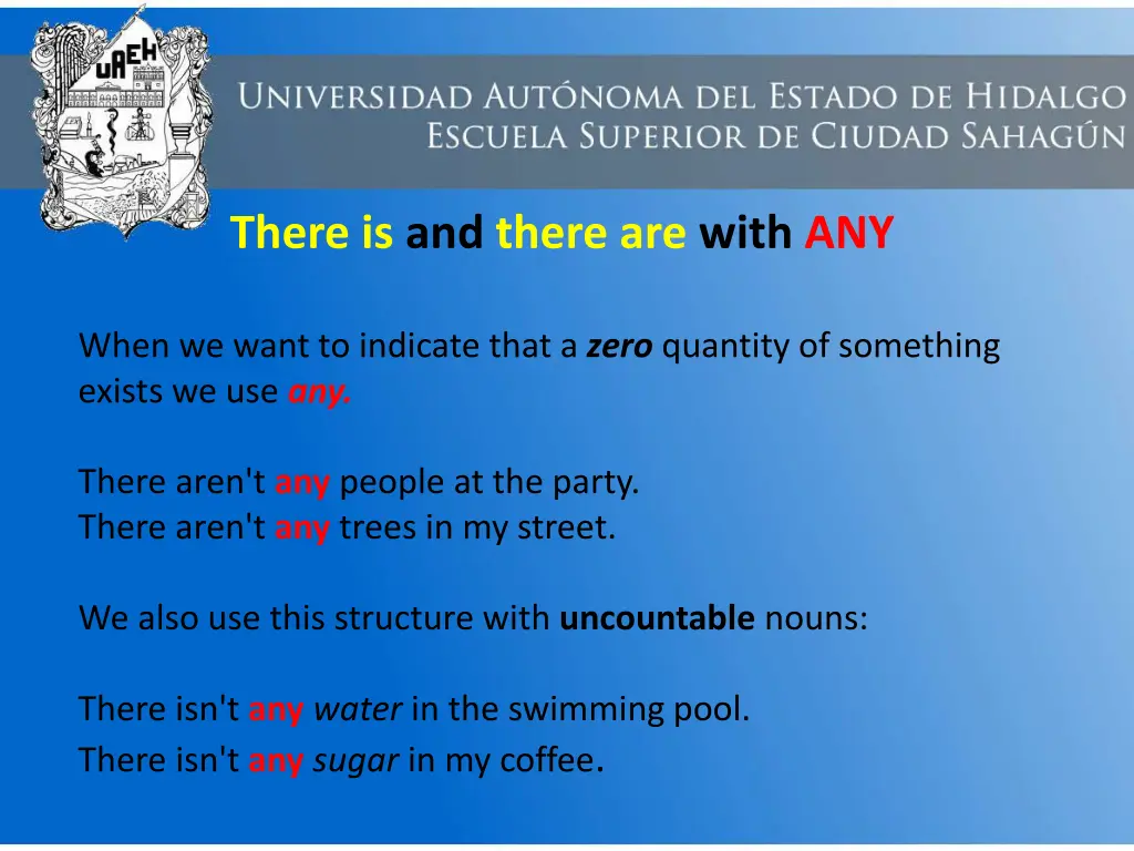 there is and there are with any