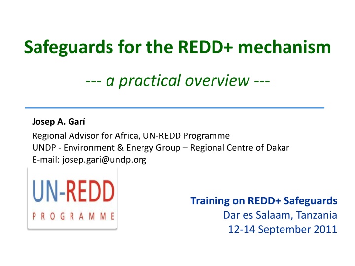safeguards for the redd mechanism