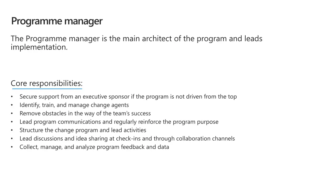 programme manager