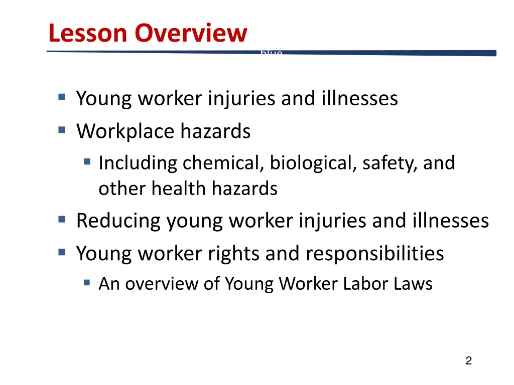 lesson overview