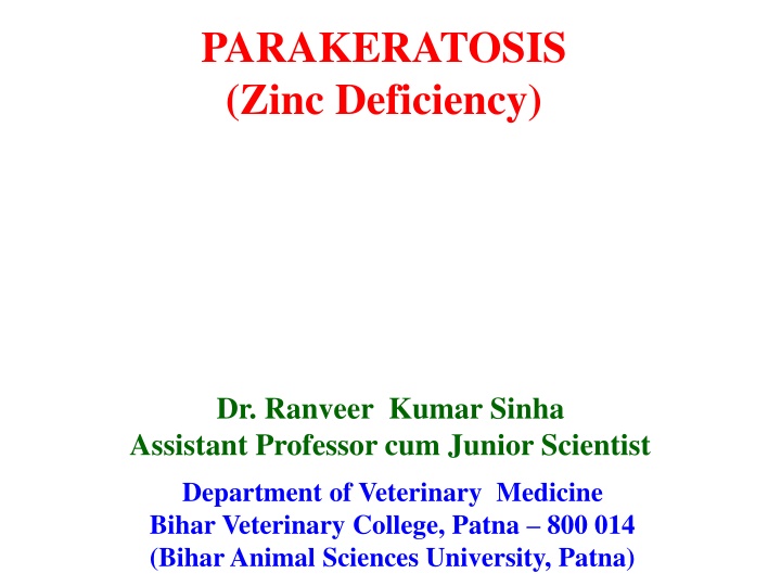 parakeratosis zinc deficiency