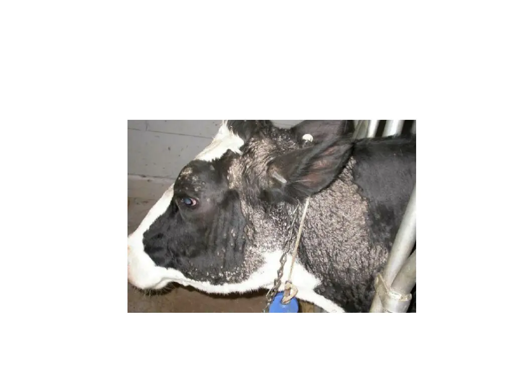 slide10