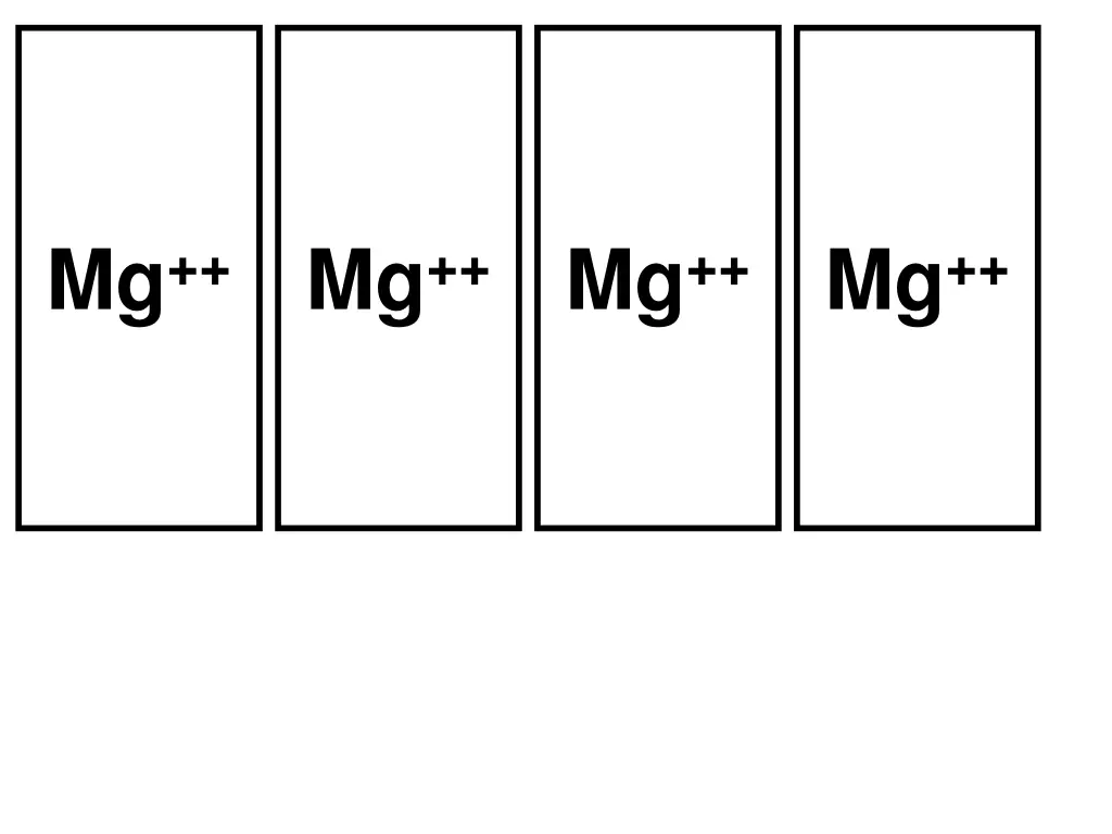 slide24