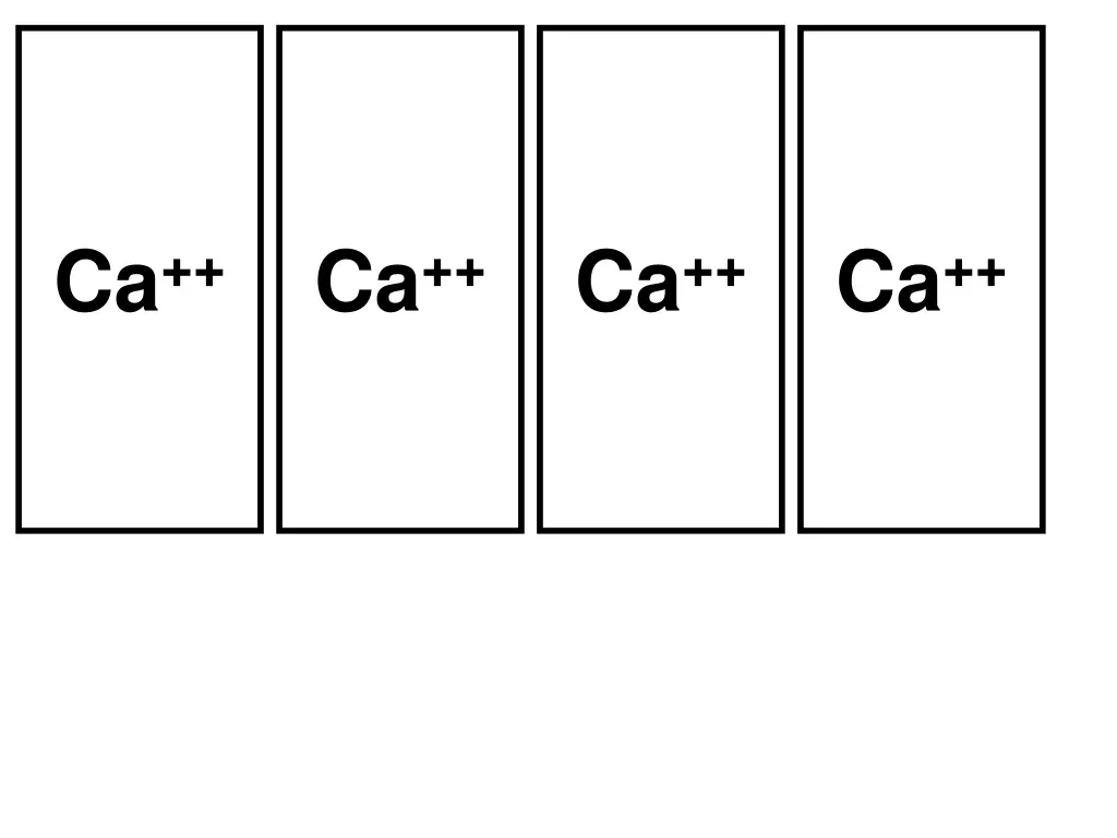 slide25