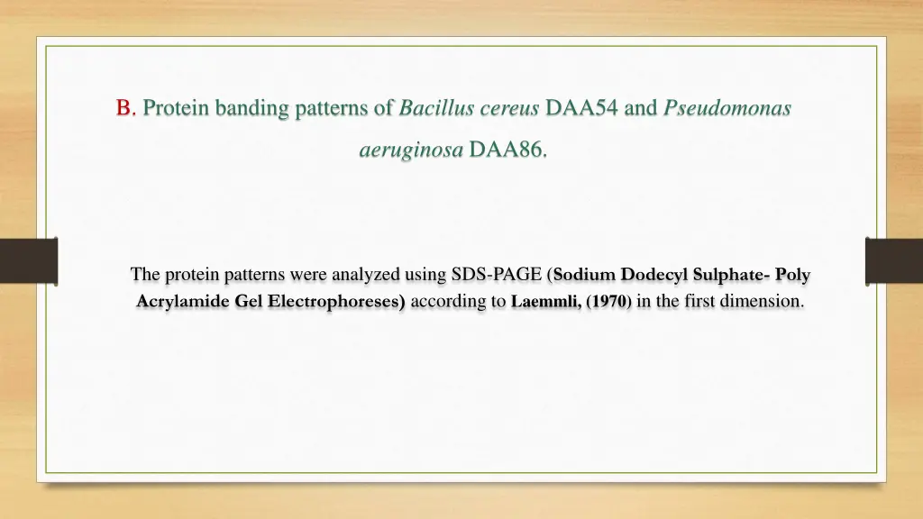 b protein banding patterns of bacillus cereus